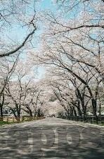 足球实时比分-足球实时比分，数字背后的热血与心跳，一场永不落幕的激情盛宴